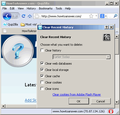 Clear Recent History in QupZilla